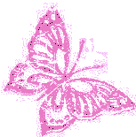 Pink Butterfly 1