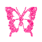 Pink Butterfly 2